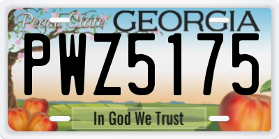 GA license plate PWZ5175