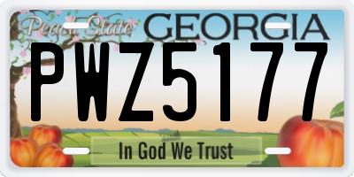 GA license plate PWZ5177