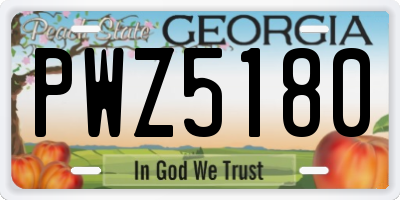GA license plate PWZ5180