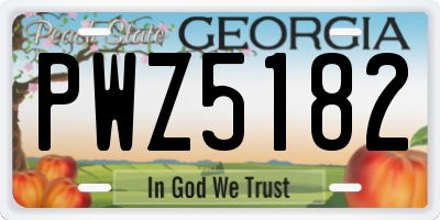 GA license plate PWZ5182