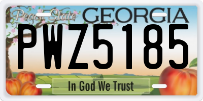 GA license plate PWZ5185