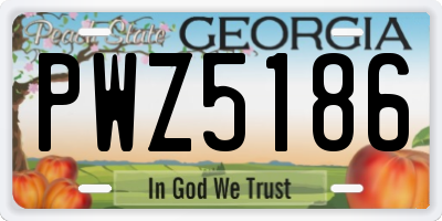 GA license plate PWZ5186