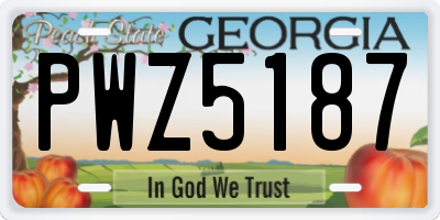 GA license plate PWZ5187