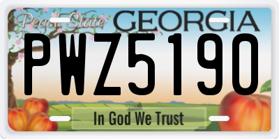 GA license plate PWZ5190