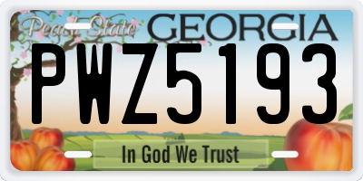 GA license plate PWZ5193