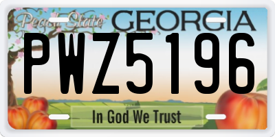 GA license plate PWZ5196