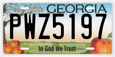 GA license plate PWZ5197