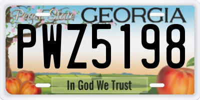 GA license plate PWZ5198