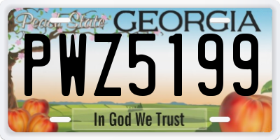 GA license plate PWZ5199