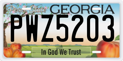 GA license plate PWZ5203