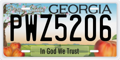 GA license plate PWZ5206