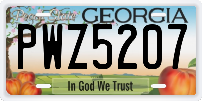 GA license plate PWZ5207