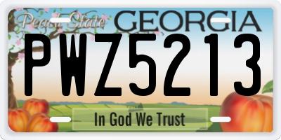 GA license plate PWZ5213
