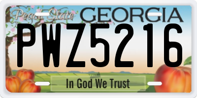 GA license plate PWZ5216