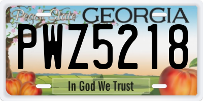 GA license plate PWZ5218