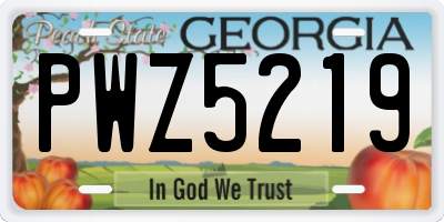 GA license plate PWZ5219