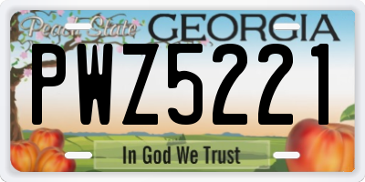 GA license plate PWZ5221