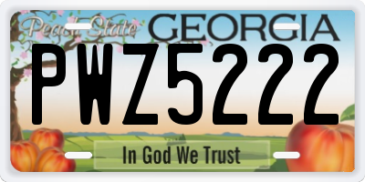 GA license plate PWZ5222