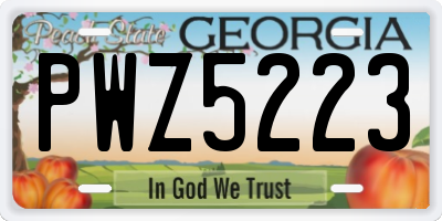 GA license plate PWZ5223