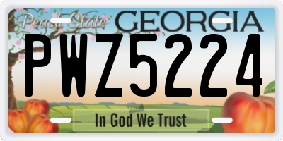 GA license plate PWZ5224