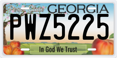 GA license plate PWZ5225