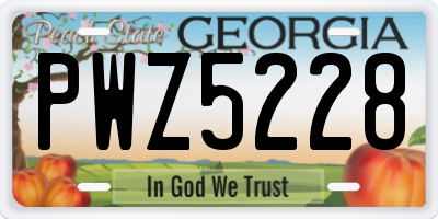 GA license plate PWZ5228