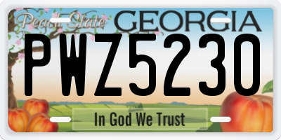 GA license plate PWZ5230