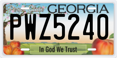 GA license plate PWZ5240