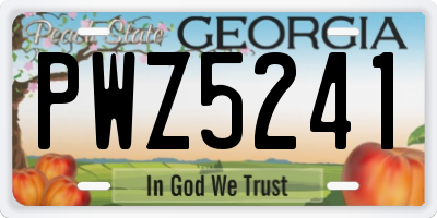 GA license plate PWZ5241