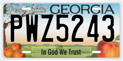 GA license plate PWZ5243