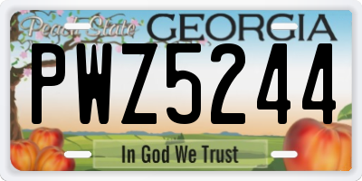 GA license plate PWZ5244