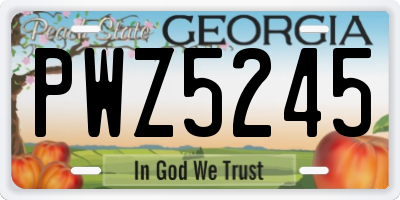 GA license plate PWZ5245