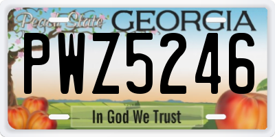 GA license plate PWZ5246