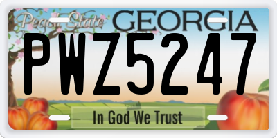 GA license plate PWZ5247