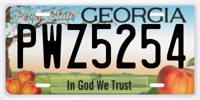 GA license plate PWZ5254