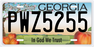 GA license plate PWZ5255