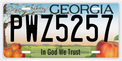 GA license plate PWZ5257
