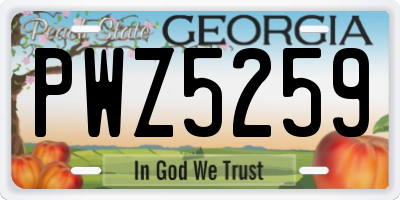 GA license plate PWZ5259