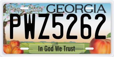 GA license plate PWZ5262