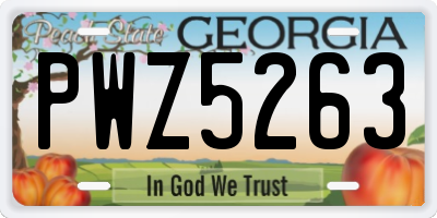 GA license plate PWZ5263