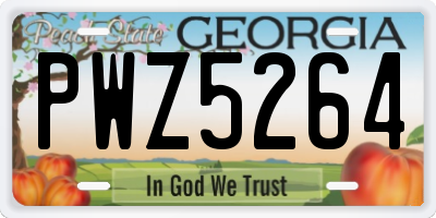 GA license plate PWZ5264