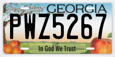 GA license plate PWZ5267