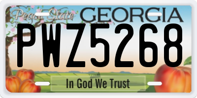 GA license plate PWZ5268