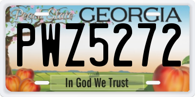 GA license plate PWZ5272