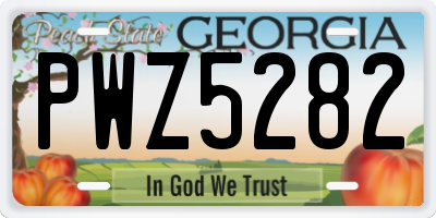 GA license plate PWZ5282