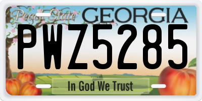 GA license plate PWZ5285