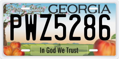 GA license plate PWZ5286