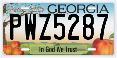 GA license plate PWZ5287