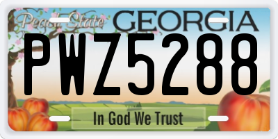 GA license plate PWZ5288