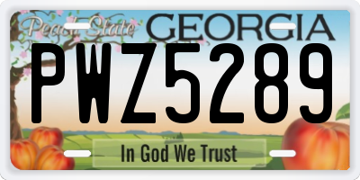 GA license plate PWZ5289
